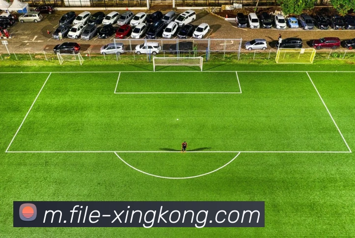 星空体育平台生态图