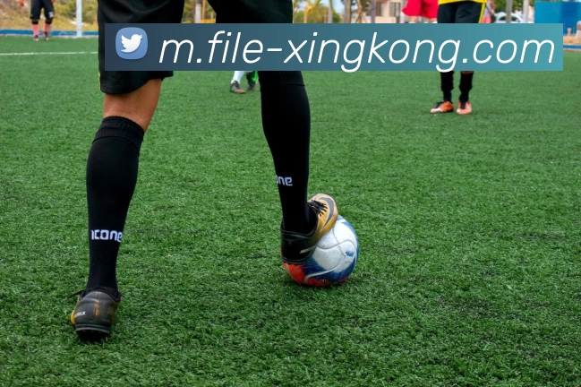 星空体育APP 封面图